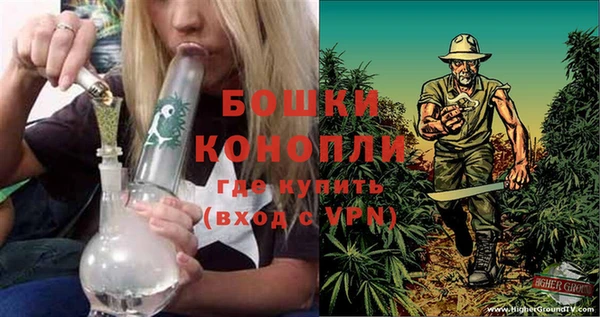 МДМА Новозыбков