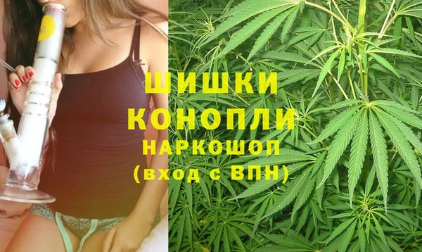 ECSTASY Новодвинск