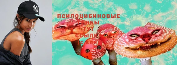 ECSTASY Новодвинск