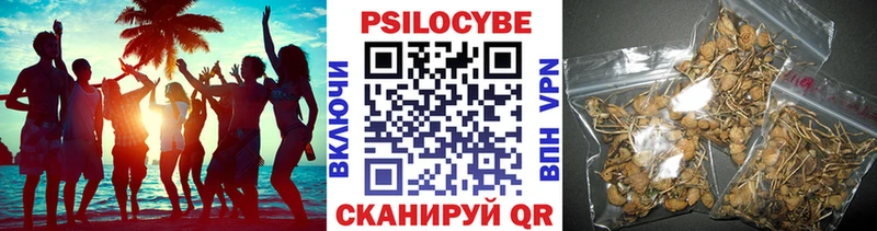 KRAKEN tor  Ужур  Псилоцибиновые грибы прущие грибы 
